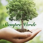 Edith Longo - @siempre_verde1964 - Instagram