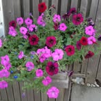 Edith Lowery - Facebook