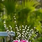 Muyoka Edith - Facebook