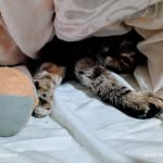 Edith Lucie Maes - @ma.es2186 - Instagram
