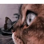 Edith Manzano - @edith.manzano.77715 - Instagram
