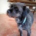 Edith Manzano - @edith.manzano.750 - Instagram