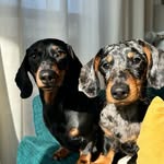 Edith and Marcel - @edithandmarcelinparis - Instagram