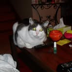 Edith Marchand - Facebook