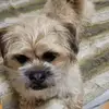 edithmarks43 - @edith.marks - TikTok