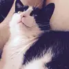 meredithmarsh - @merryviolet17 - TikTok