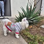 Edith Mateo - @8712_edith - Instagram