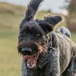 Edith Mathesie - @edithmathesie - Instagram