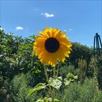 Edith Matheson - @edith.matheson1 - Instagram