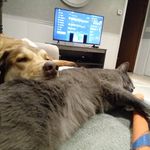 Edie Maynard - @edithmaynard451 - Instagram