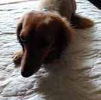 Edith Mcadams - Facebook