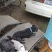 Edith McCall - Facebook