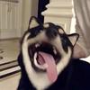 edithmccallum - @edithmccallum - TikTok