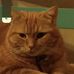 Edith McCarty - Facebook