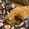 Ed_McDonough - @ed_mcdonough - TikTok