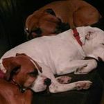 Edith McKee - @edith.mckee - Instagram