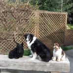 Edith Mckenzie - Facebook