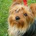 Edie McMullen - Facebook