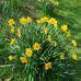 Edith McNeill - Facebook