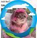 Edie McWilliams - Facebook