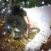 Edie Mcwilliams - Facebook
