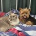 Edith Mears - Facebook