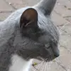 Edith Maue - @edith.maue - TikTok