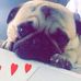 Edith Medeiros - Facebook