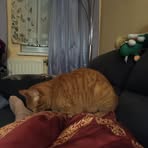 Edith Meißner - Facebook