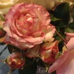 editha meissner - @edithameissner9557 - Instagram