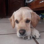 Edith Mena - @edith.mena.545 - Instagram
