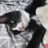 Edith Zuñiga Menchaca - @edith.zuiga.mench - TikTok