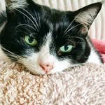 Edith Meyer - @edithmeyer7289 - Instagram