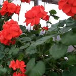 Edith Meyer - @edith.meyer.564 - Instagram
