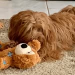 Edith Meyer - @edith.meyer.940 - Instagram