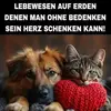 edithmohr58 - @edithmohr58 - TikTok