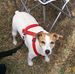 Edith Morris - Facebook
