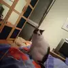 Edith - @edithmoser - TikTok