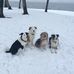 Edith Moser - Facebook