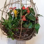 Edith Moser - @edith.moser2707 - Instagram