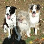 Edith Moser - @hechenberger.edith - Instagram