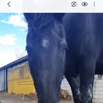 Edith Moser - @_edith_mo - Instagram