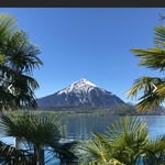 Edith Moser - @edithmoser753 - Instagram