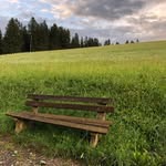Edith Moser - @losung_in_sicht - Instagram
