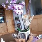 Edith Moser - @edith_moser2707 - Instagram