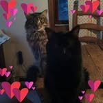 Cheryl Edith Mueller - @cheryl.mueller.399 - Instagram