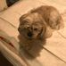 Edith Mullins - Facebook