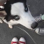 Маша - @edithmullins22 - Instagram
