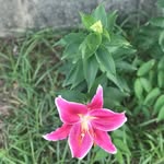 Edith Nixon Simmons - @godislove5788 - Instagram