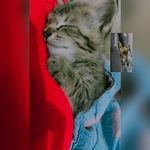 Edith Noah - @edithnoah6 - Instagram